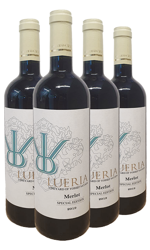 שישיית לוריא ספיישל אדישן מרלו